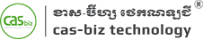 CAS-BIZ technology QuickBooks Solution Provider